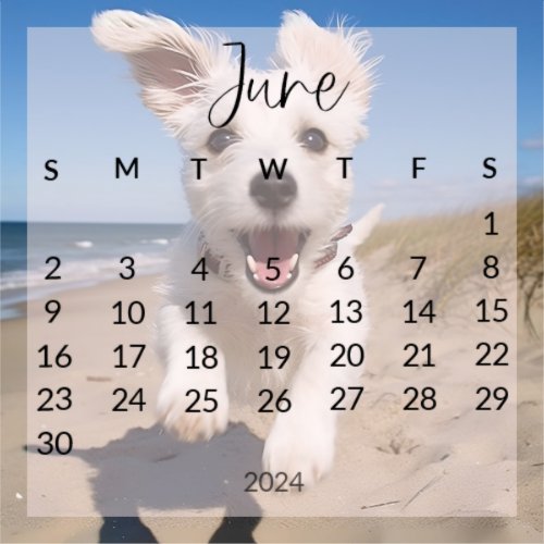2024 june planner calendar pet photo sticker