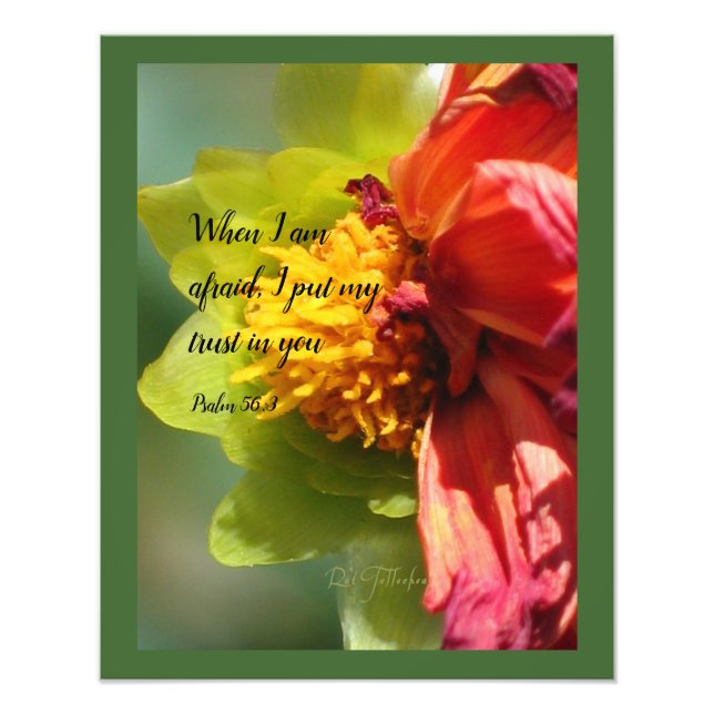 2024 JW year text Psalm 56:3 Photo Print (Front)