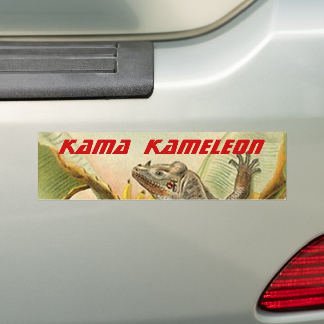 2024 KAMALA HARRIS kameleon CHAMELEON Lizard Bumper Sticker (On Car)