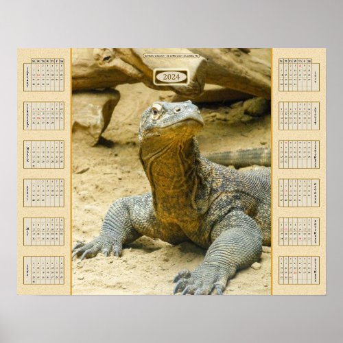 2024 _ Komodo Dragon Poster