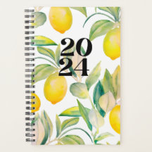 2024 lemon