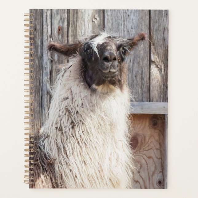2024 Llama at the farm Planner (Front)