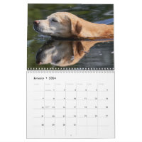 2024 Lovable Labrador Retriever Dog Calendar | Zazzle