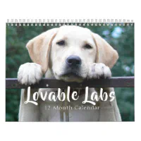 2024 Lovable Labrador Retriever Dog Calendar | Zazzle