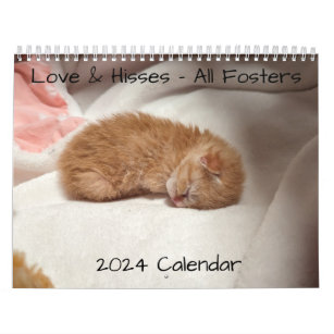 2024 Love & Hisses Calendar - All fosters