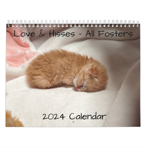 2024 Love  Hisses Calendar _ All fosters