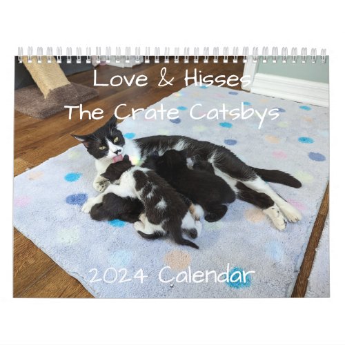2024 Love  Hisses Calendar _ the Crate Catsbys