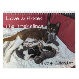 2024 Love & Hisses Calendar - the Trekklings