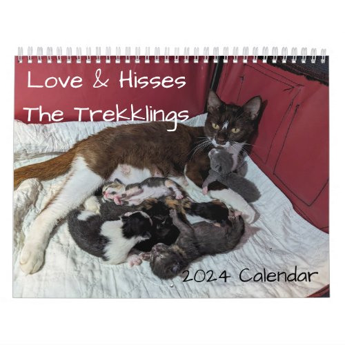2024 Love  Hisses Calendar _ the Trekklings