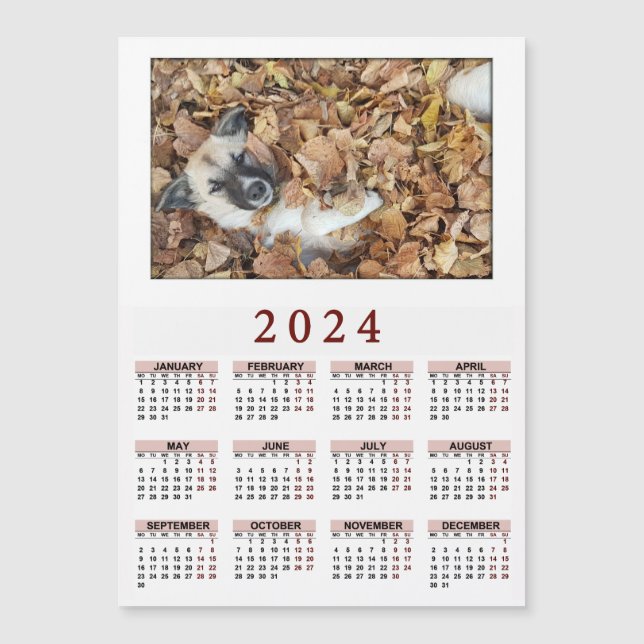 2024 magnetic calendar with Your animals (Front)