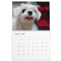 https://rlv.zcache.com/2024_maltipoo_maltese_puppy_calendar-r030aba76f5d34a05b1f668993e793dae_qyt9k_8byvr_200.jpg?rlvnet=1