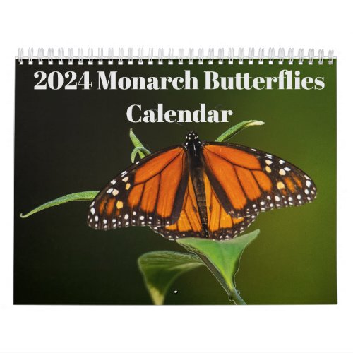 2024 Monarch Butterflies Calendar