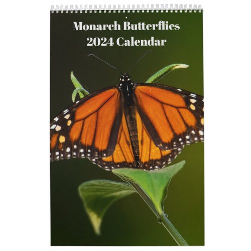 2024 Monarch Butterflies One Page Calendar