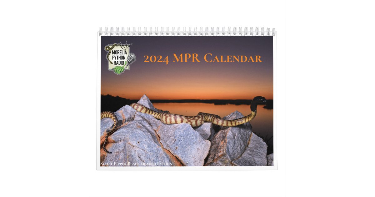 2024 Morelia Python Radio Calendar Zazzle