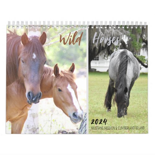 2024 Mustang Missions Wild Horses _ Calendar