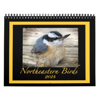 2024 Northeastern Bird Animal Nature Photography Calendar by Bebops at Zazzle
