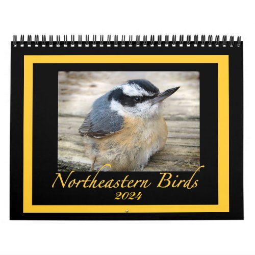 2024 Northeastern Bird Animal Nature Photography Calendar