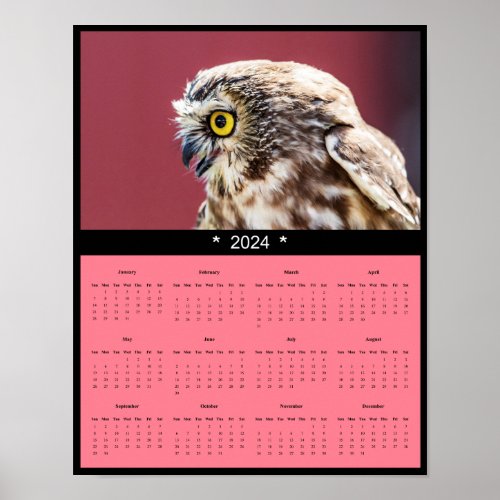 2024 Owl Wall Calendar Poster