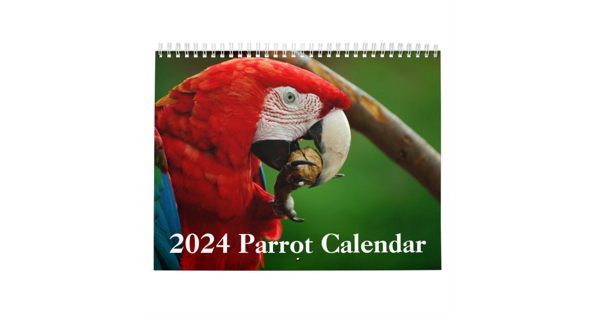 2024 Parrot Calendar Zazzle