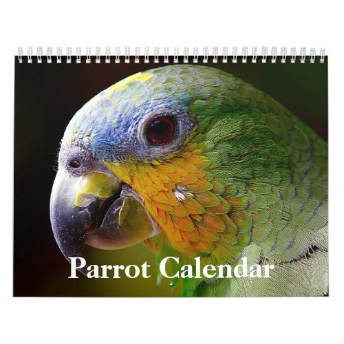 2024 Parrot Calendar