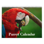 2024 Parrot Calendar at Zazzle