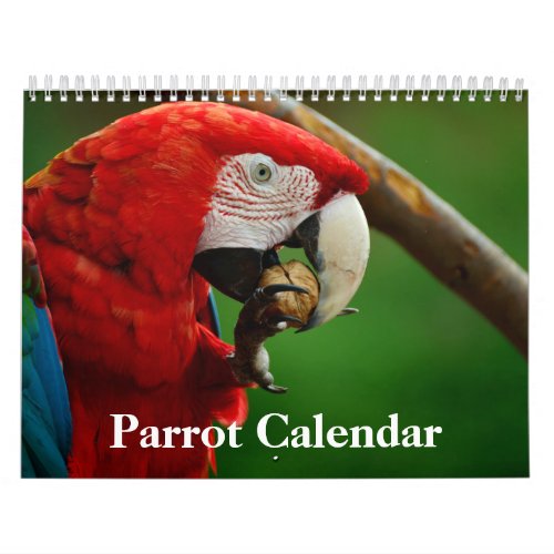 2024 Parrot Calendar