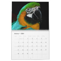 BIRD LOVERS BIRD WATCHERS WATERCOLOR 2024 MINI MAGNETIC CALENDAR