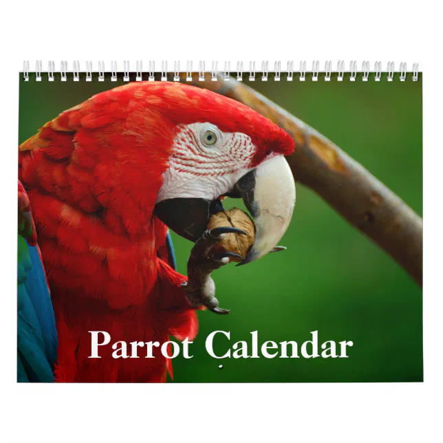 BIRD LOVERS BIRD WATCHERS WATERCOLOR 2024 MINI MAGNETIC CALENDAR