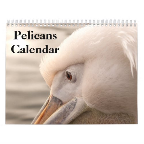 2024 Pelicans Bird Calendar