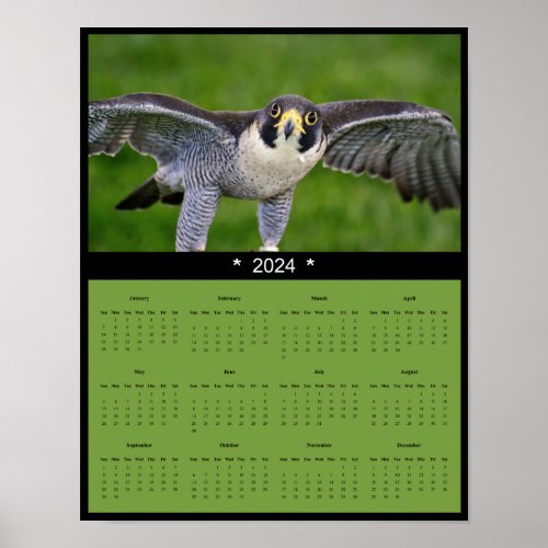 2024 Peregrine Falcon Calendar Poster