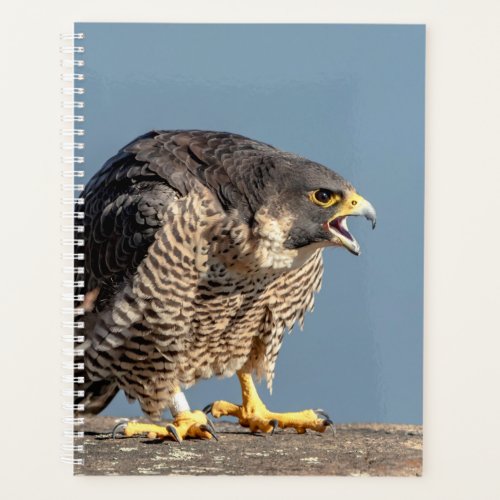 2024 Peregrine Falcon Planner