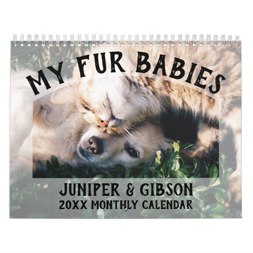 2024 Photo Calendar Fur Babies Pets Cats Dogs Calendar