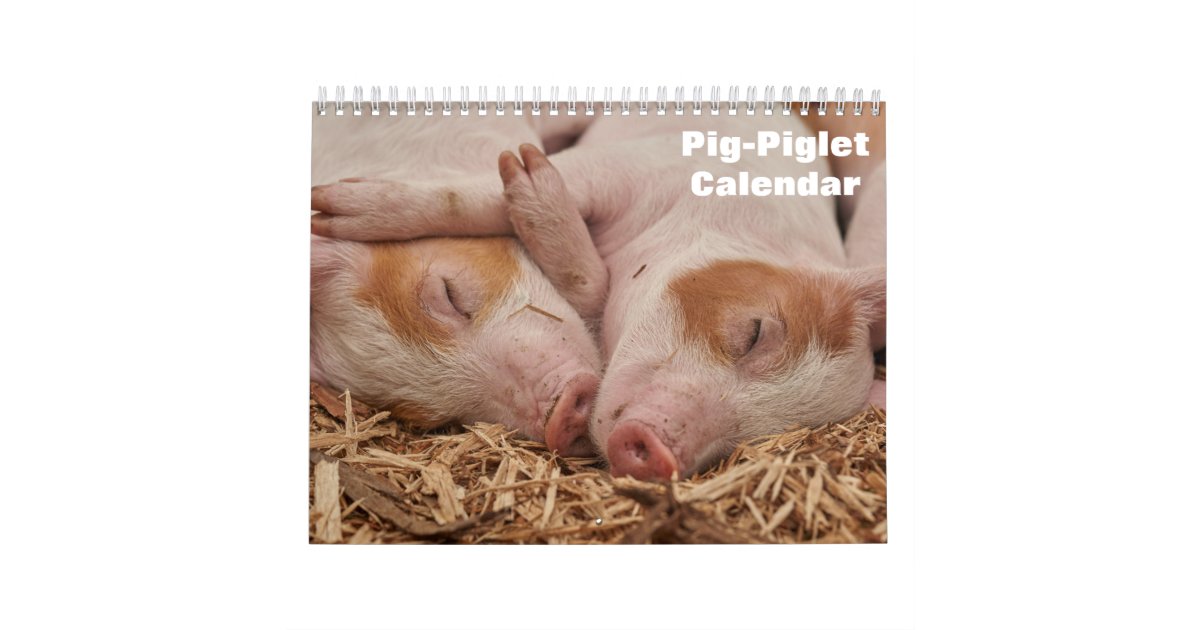 2024 PigPiglet Calendar Zazzle 2024 PigPiglet Calendar Zazzle