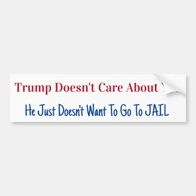 2024 Presidential Election Bumper Sticker (Front)
