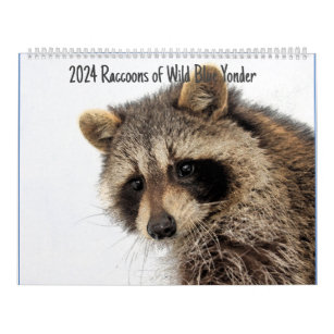 2024 Raccoons of Wild Blue Yonder Calendar