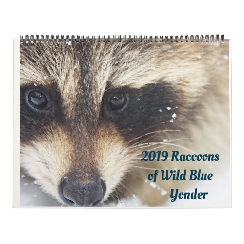 2024 Raccoons of Wild Blue Yonder Wildlife Rescue Calendar
