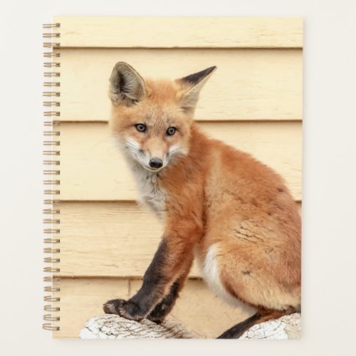 2024 Red Fox Kit Planner