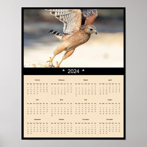 2024 Red Shouldered Hawk Wall Calendar Poster