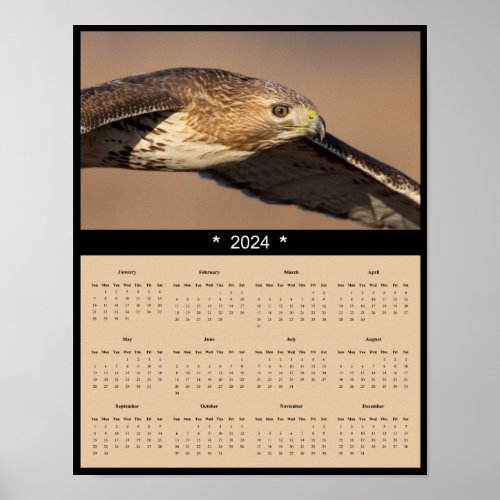 2024 Red Tailed Hawk Wall Calendar Poster