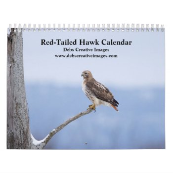 2024 Red-tailed Hawks In The Hudson Valley Calendar by debscreative at Zazzle