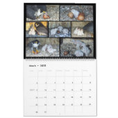 2024 Rfalconcam Calendar (Mar 2025)