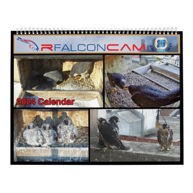 2024 Rfalconcam Calendar (Cover)