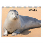 2024 Sea Lion Seals Calendar at Zazzle