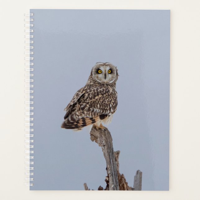 2024 Short-Eared Owl Planner (Front)
