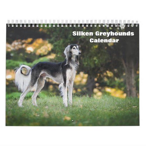 2024 Silken Greyhounds Puppies Calendar
