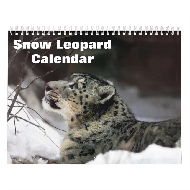 2024 Snow leopard Calendar Zazzle
