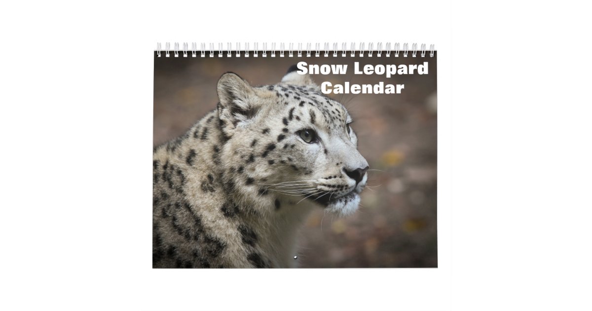 2024 Snow leopard Calendar Zazzle