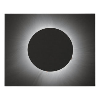 2024 Solar Eclipse - Corona Faux Canvas Print
