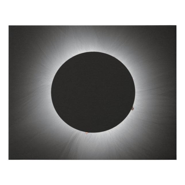 2024 Solar Eclipse - Corona Faux Canvas Print (Front)