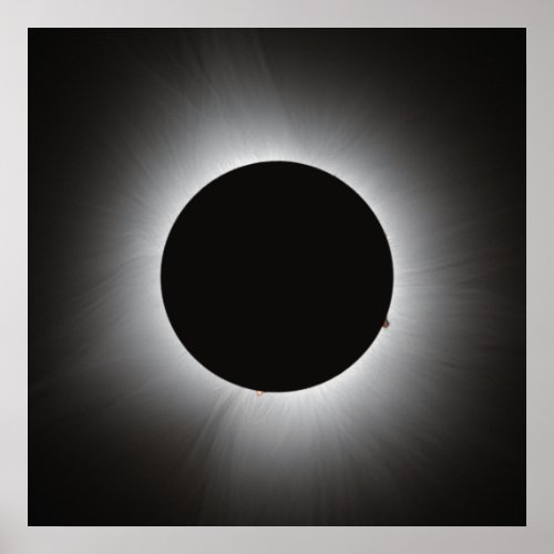 2024 Solar Eclipse _ Corona Poster